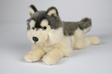 Plüsch Husky liegend 25cm